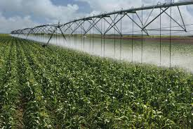 Irrigation Support Improving Crop Prospects